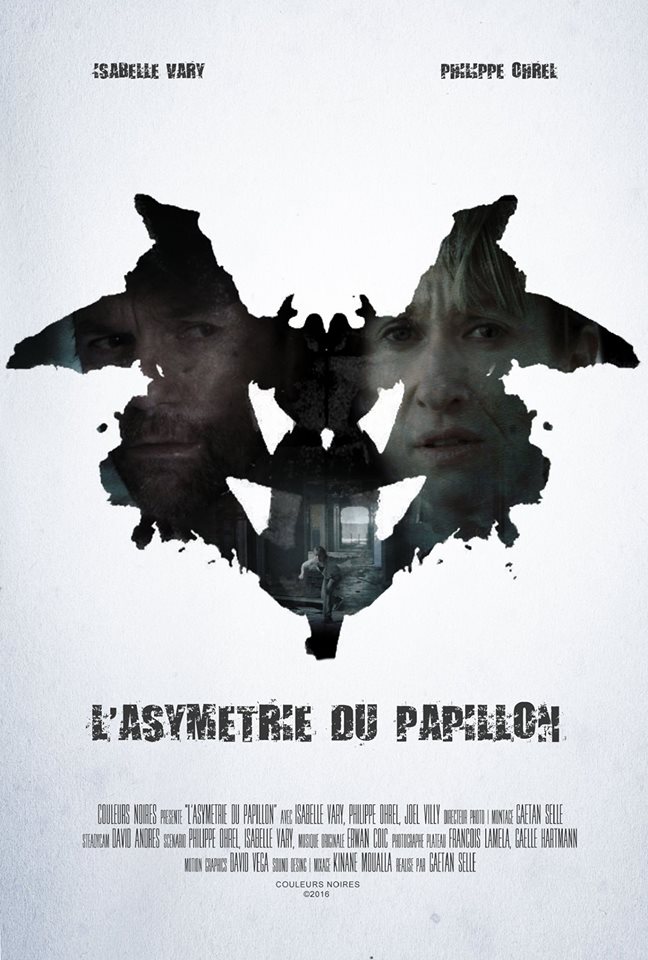L'asymetrie du papillon